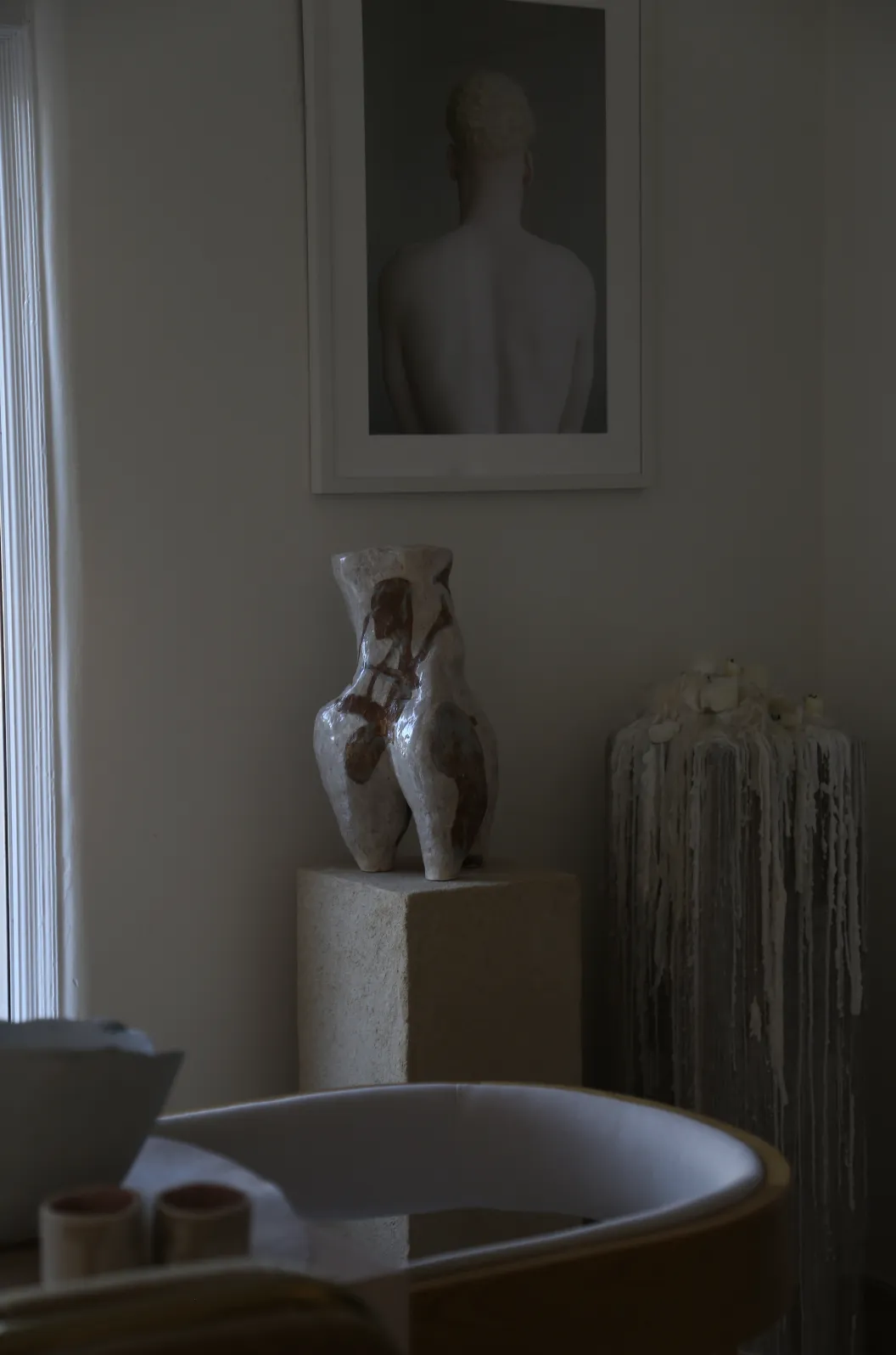 Animale — 8